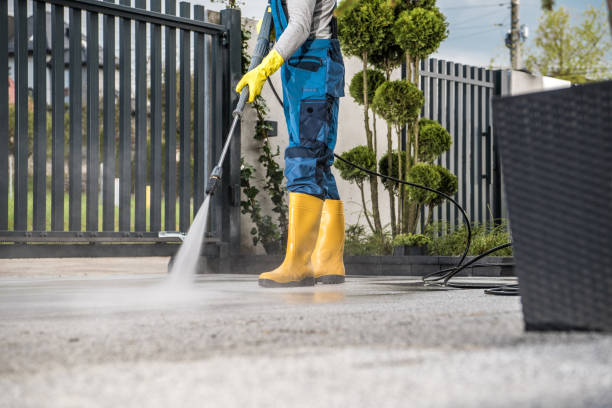 Best House Pressure Washing  in Audubon, NJ