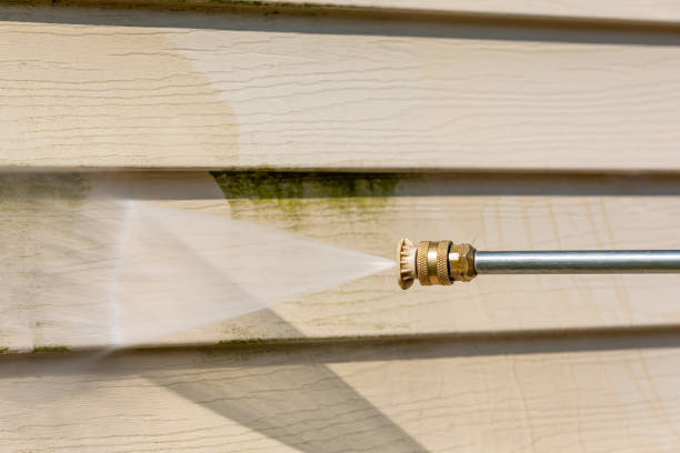 Best Pressure Washing Near Me  in Audubon, NJ